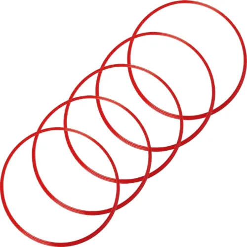Agility Sports Pierścienie koordynacyjne ⌀48 cm 5-pak 228046