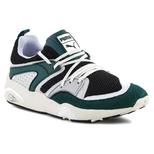 Blaze Of Glory PRM Puma Black / Varsity Green 387575-02