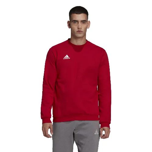 Bluza adidas Entrada 22