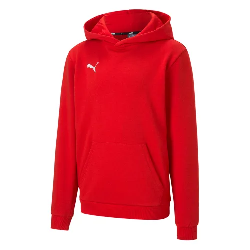 Bluza dla dzieci Puma teamGOAL 23 Casuals Hoody Jr czerwona