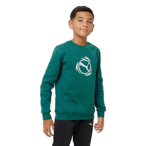 Bluza dziecięca Puma z kapturem