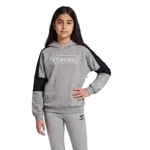 Bluza z kapturem dla dzieci Hummel hmlBOXLINE