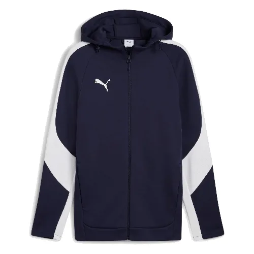 Bluza z kapturem Puma Team Evostripe