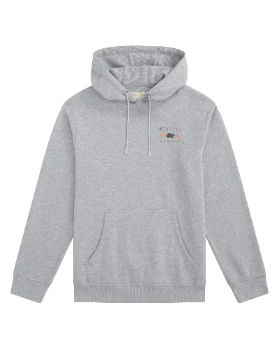 Bluza z kapturem z nadrukiem Alberta - Grey