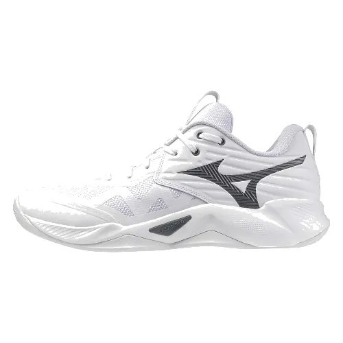 Buty do siatkówki Mizuno Wave Momentum Pro