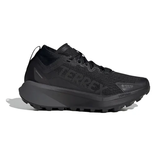 Buty Terrex Agravic GTX Trail Running