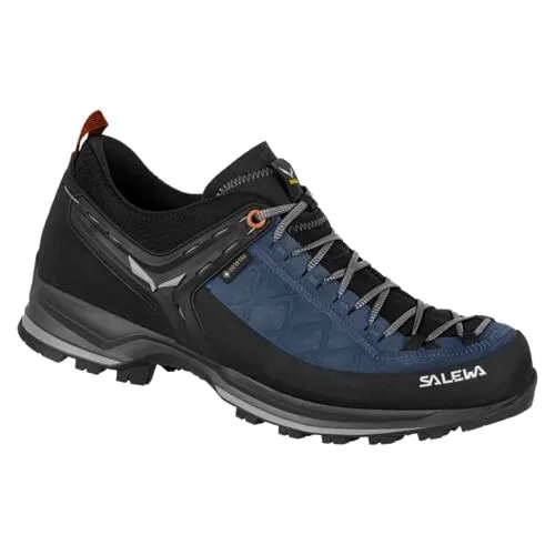 Buty trekkingowe męskie Salewa Mtn Trainer 2 Gtx