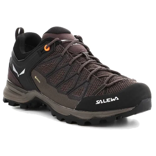 Buty trekkingowe Salewa Mtn Trainer Lite GTX 61361-7512