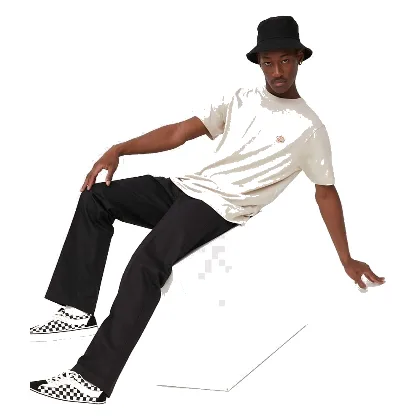 Dickies spodnie 874