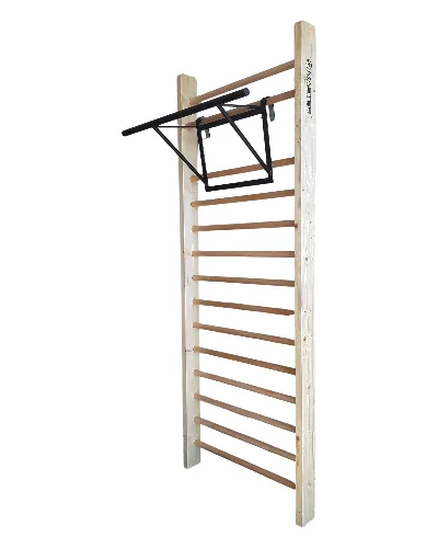 Drążek gimnastyczny Master Pull-Ups Ladders