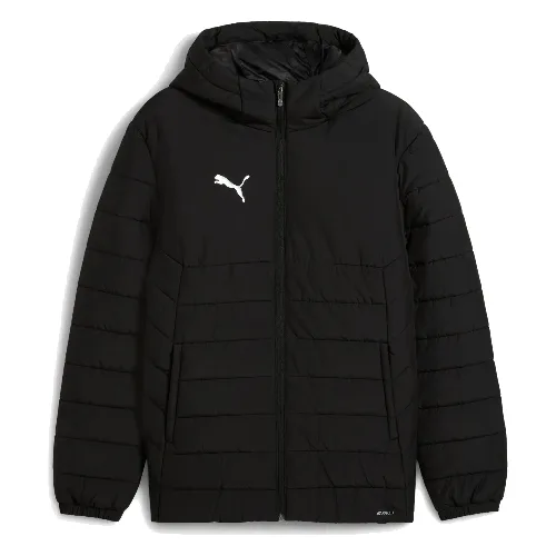 Dres Puma Teamadditions