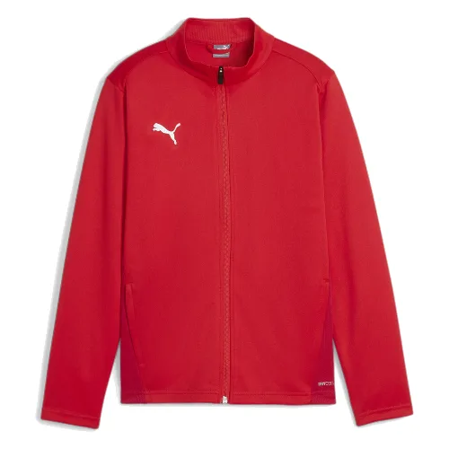 Dziecięca bluza dresowa Puma TeamGoal
