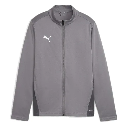Dziecięca bluza dresowa Puma TeamGoal