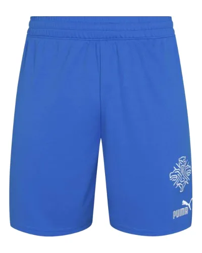Islandia PUMA Mężczyźni Spodenki domowe 766069-01