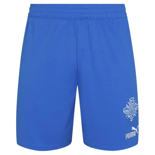Islandia PUMA Mężczyźni Spodenki domowe 766069-01