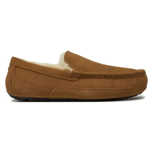 Kapcie Ugg M Ascot 1101110 Brązowy