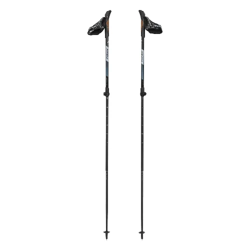 Kije nordic walking Fizan R-Evolution