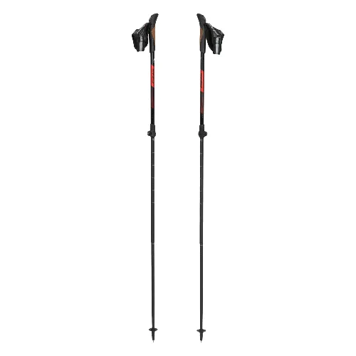 Kije nordic walking Fizan R-Evolution Pro