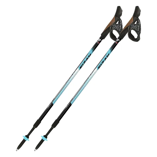 Kije nordic walking Fizan Speed