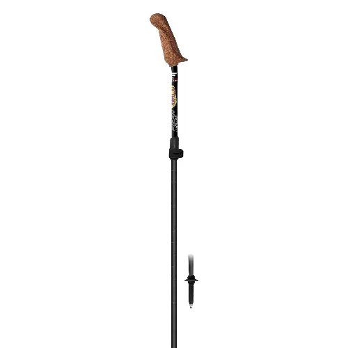 Kije nordic walking Fizan Walx Pro