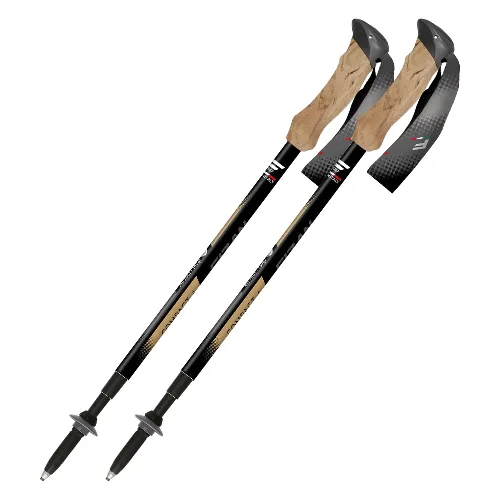 Kije trekkingowe Fizan Compact 4 Tech