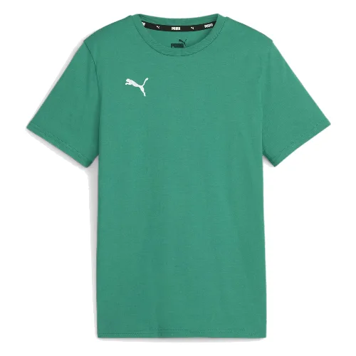 Koszulka dla dzieci Puma Team Goal Casuals Tee