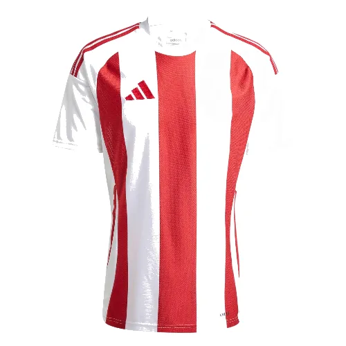 Koszulka Striped 24