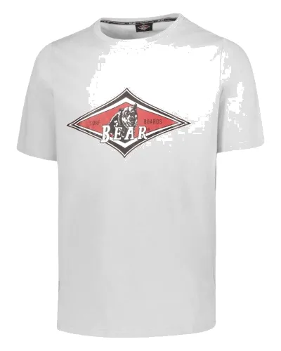 Koszulka T-shirt Bear Big Logo biała