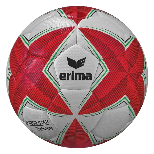 Piłka Erima Senzor-Star