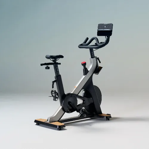 Rower stacjonarny Domyos Training Bike 900