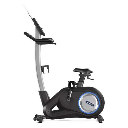 Rower stacjonarny Horizon Fitness PAROS 3.0 Upright
