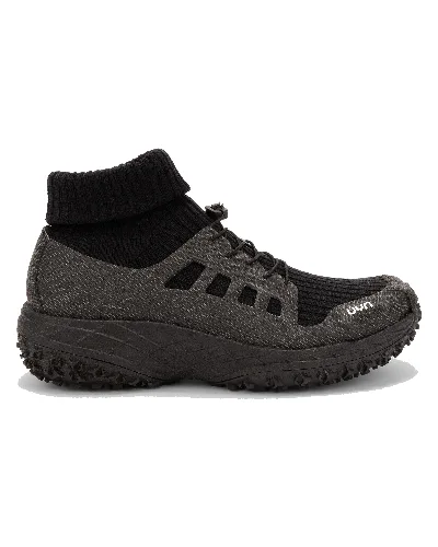 Shetland Black
