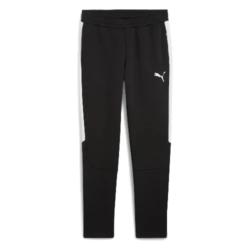 Spodnie dresowe Puma Team Evostripe