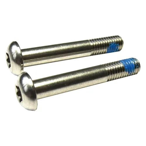 Śruba zacisku hamulcowego Sram Titane T25 Flatmount