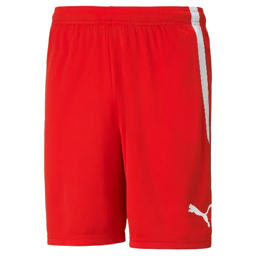 Szorty Puma Team Liga