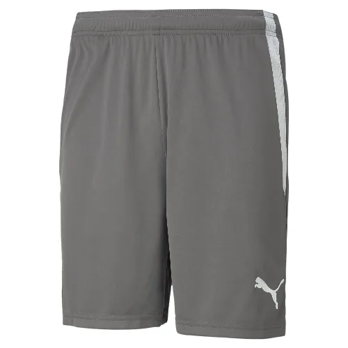 Szorty Puma Teamliga 13 Szorty Dorosłych